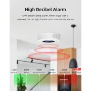 WiFi детектор за изтичане на газ, пропан-бутан, метан, aларма за дома C30W
