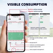 Монофазен WIFI смарт електромер, цветен дисплей и множество защити Tuya Smart Life 100А TVPS1-100SP Taxnele